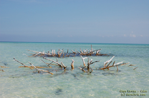 cayo levisa